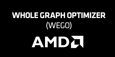 Whole Graph Optimizer (WeGO) 